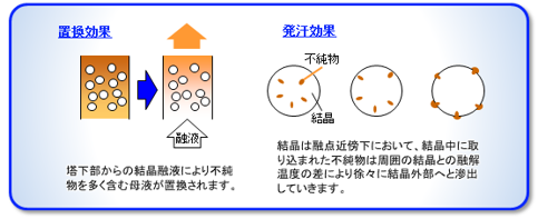 精製塔内の高純度化メカニズム