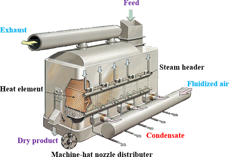 Fluidized Bed Dryer